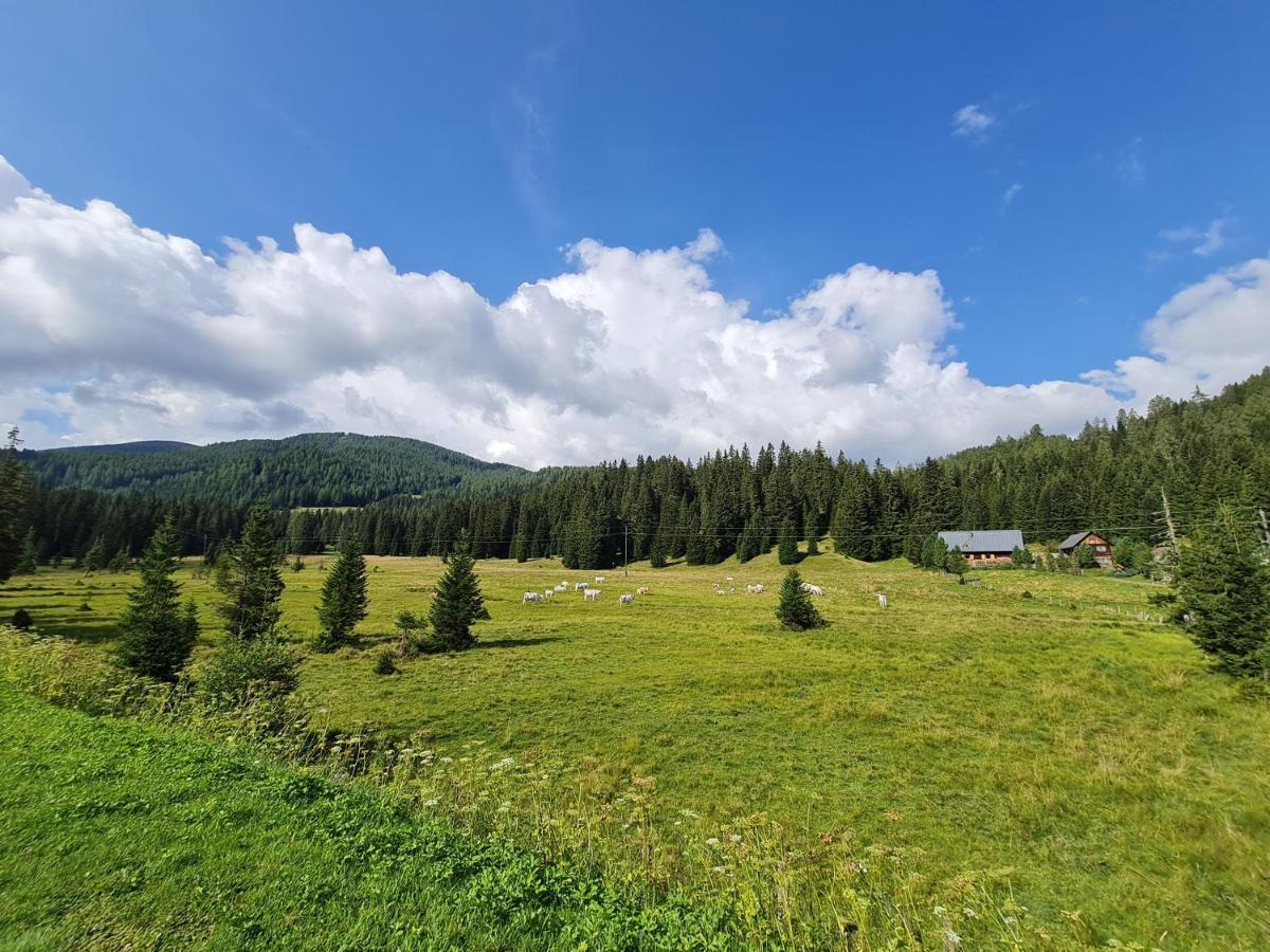 Apartmenthaus Almwiese Flattnitz Kültér fotó