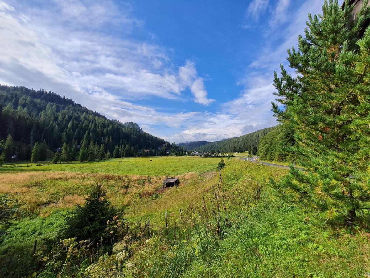 Apartmenthaus Almwiese Flattnitz Kültér fotó