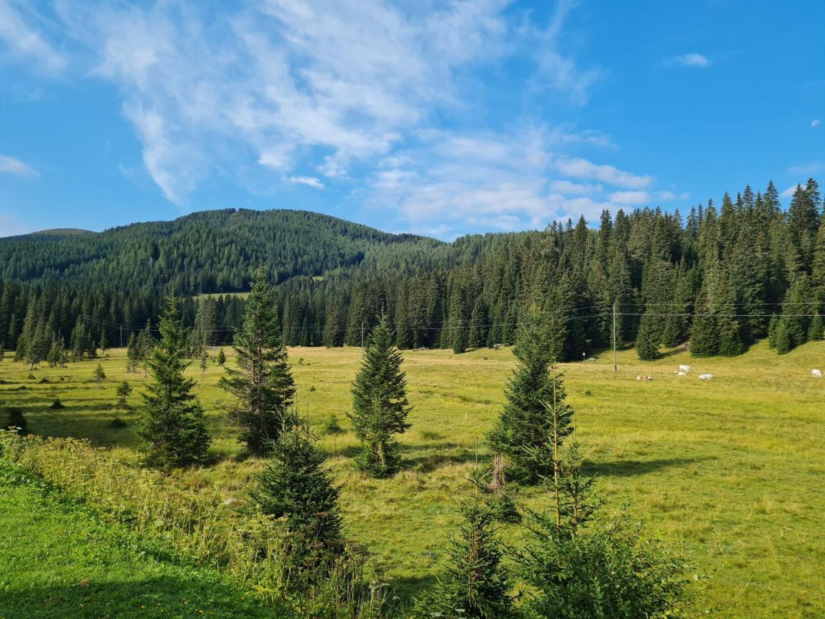 Apartmenthaus Almwiese Flattnitz Kültér fotó
