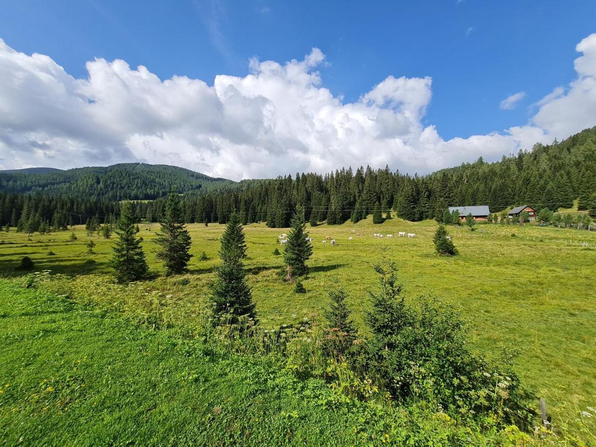 Apartmenthaus Almwiese Flattnitz Kültér fotó