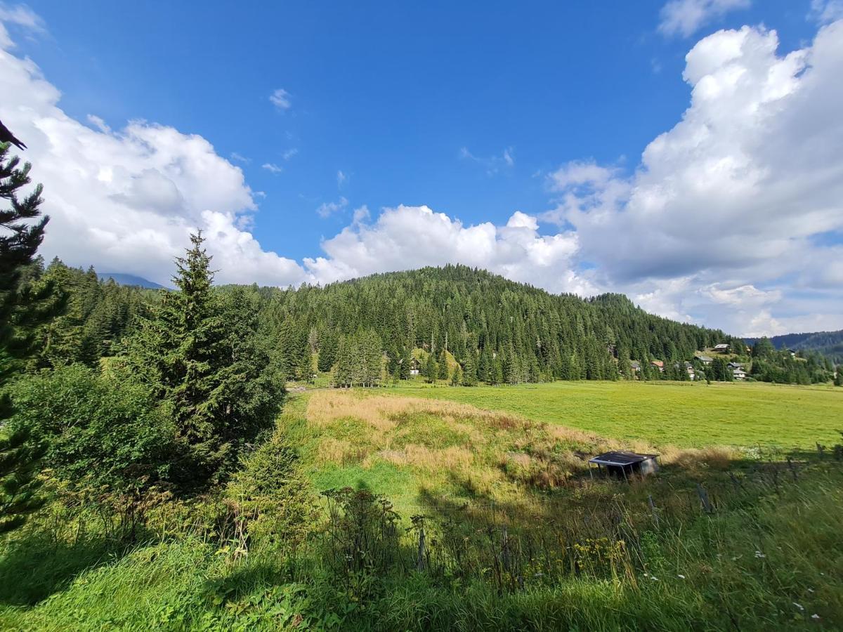 Apartmenthaus Almwiese Flattnitz Kültér fotó
